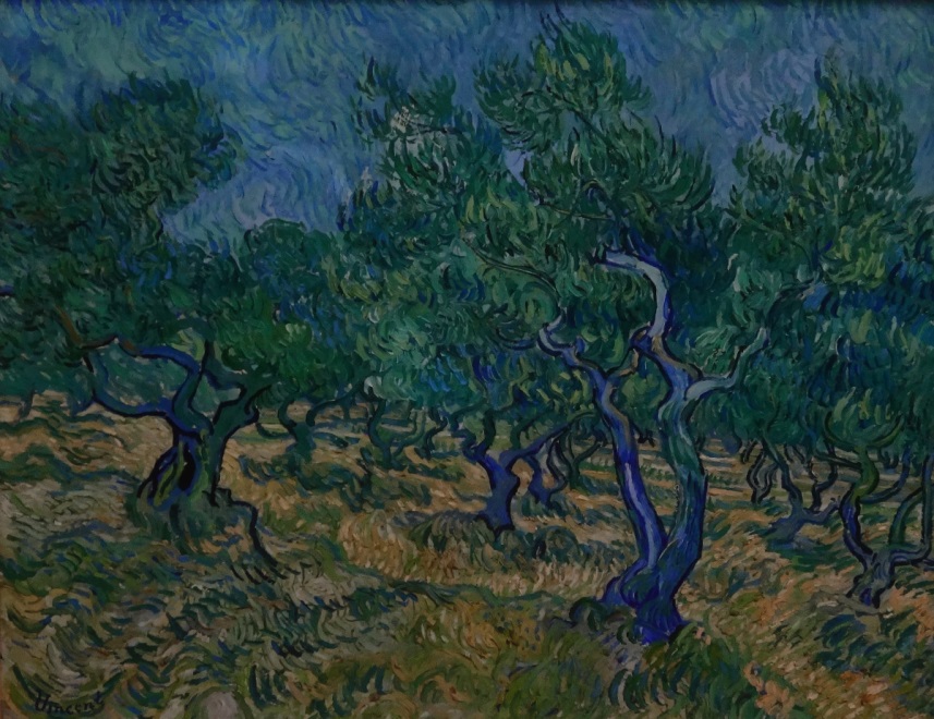 Olive Grove